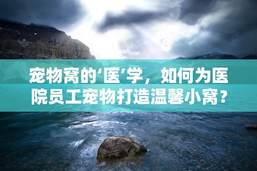 宠物窝的‘医’学，如何为医院员工宠物打造温馨小窝？