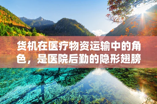 货机在医疗物资运输中的角色，是医院后勤的隐形翅膀吗？
