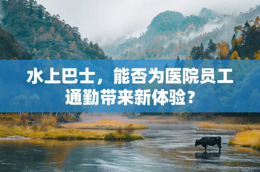 水上巴士，能否为医院员工通勤带来新体验？