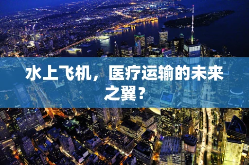 水上飞机，医疗运输的未来之翼？