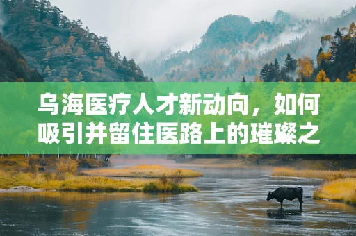 乌海医疗人才新动向，如何吸引并留住医路上的璀璨之星？