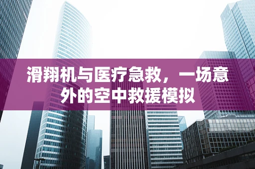 滑翔机与医疗急救，一场意外的空中救援模拟