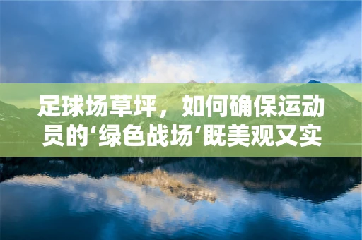 足球场草坪，如何确保运动员的‘绿色战场’既美观又实用？