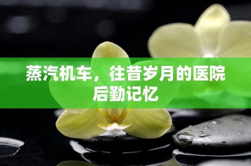 蒸汽机车，往昔岁月的医院后勤记忆