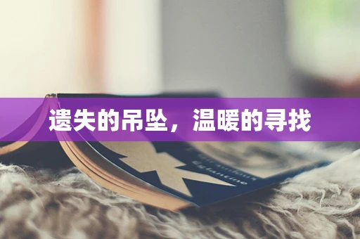 遗失的吊坠，温暖的寻找