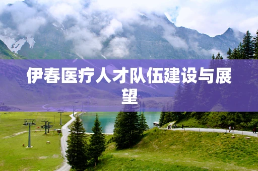 伊春医疗人才队伍建设与展望