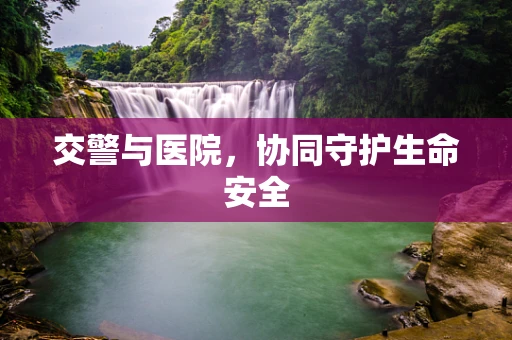 交警与医院，协同守护生命安全