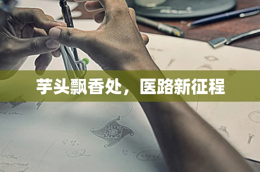 芋头飘香处，医路新征程