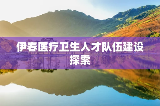 伊春医疗卫生人才队伍建设探索