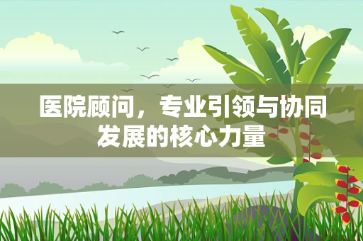医院顾问，专业引领与协同发展的核心力量