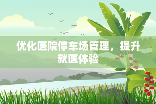 优化医院停车场管理，提升就医体验