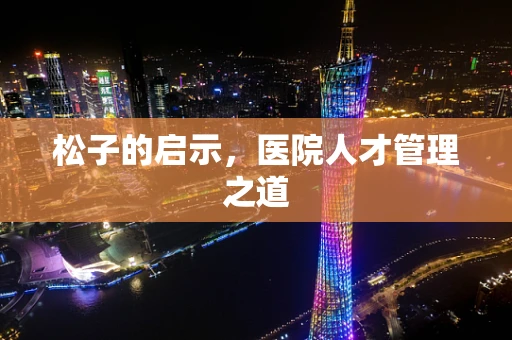 松子的启示，医院人才管理之道