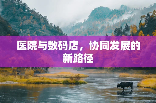 医院与数码店，协同发展的新路径