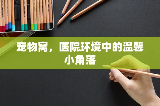 宠物窝，医院环境中的温馨小角落