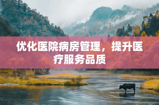 优化医院病房管理，提升医疗服务品质