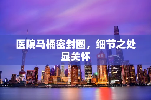 医院马桶密封圈，细节之处显关怀