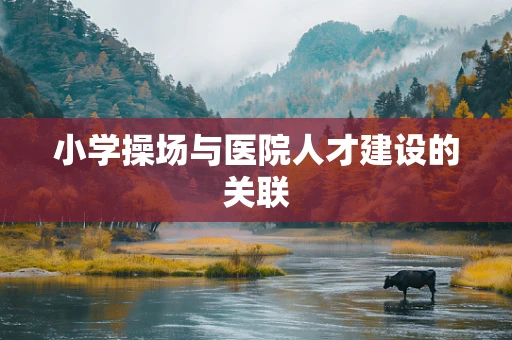 小学操场与医院人才建设的关联