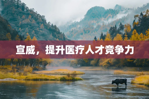 宣威，提升医疗人才竞争力