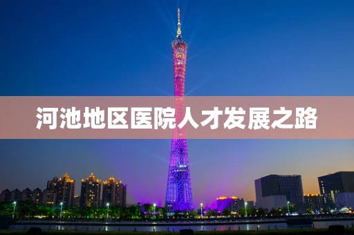 河池地区医院人才发展之路